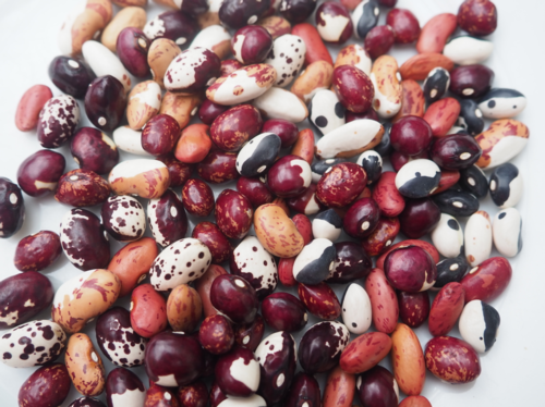Shelled beans