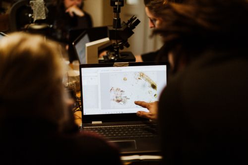 Screen showing microscope image of soil